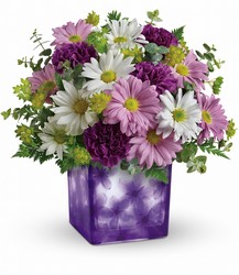Teleflora's Dancing Violets Bouquet from Victor Mathis Florist in Louisville, KY